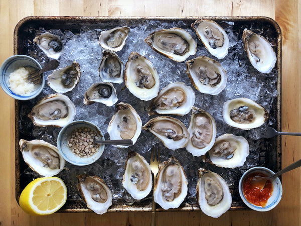 Oysters