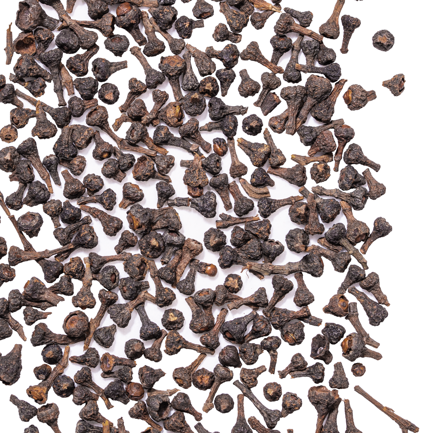 close up cinnamon buds