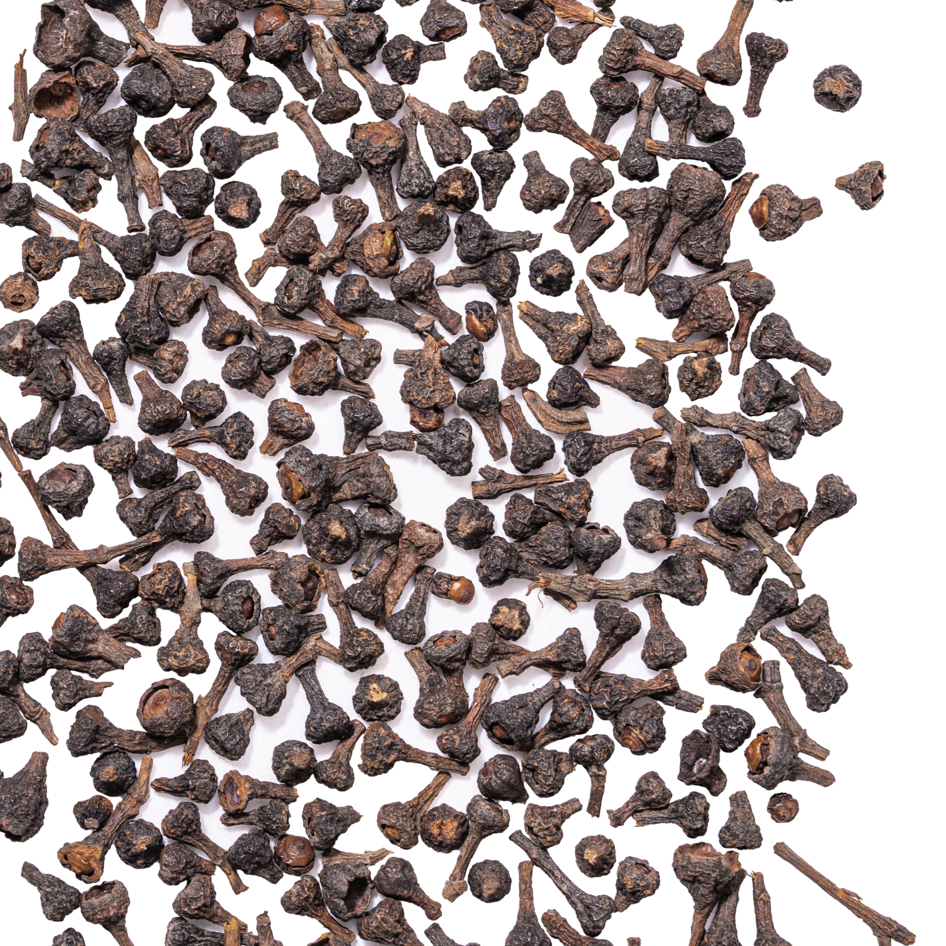 close up cinnamon buds