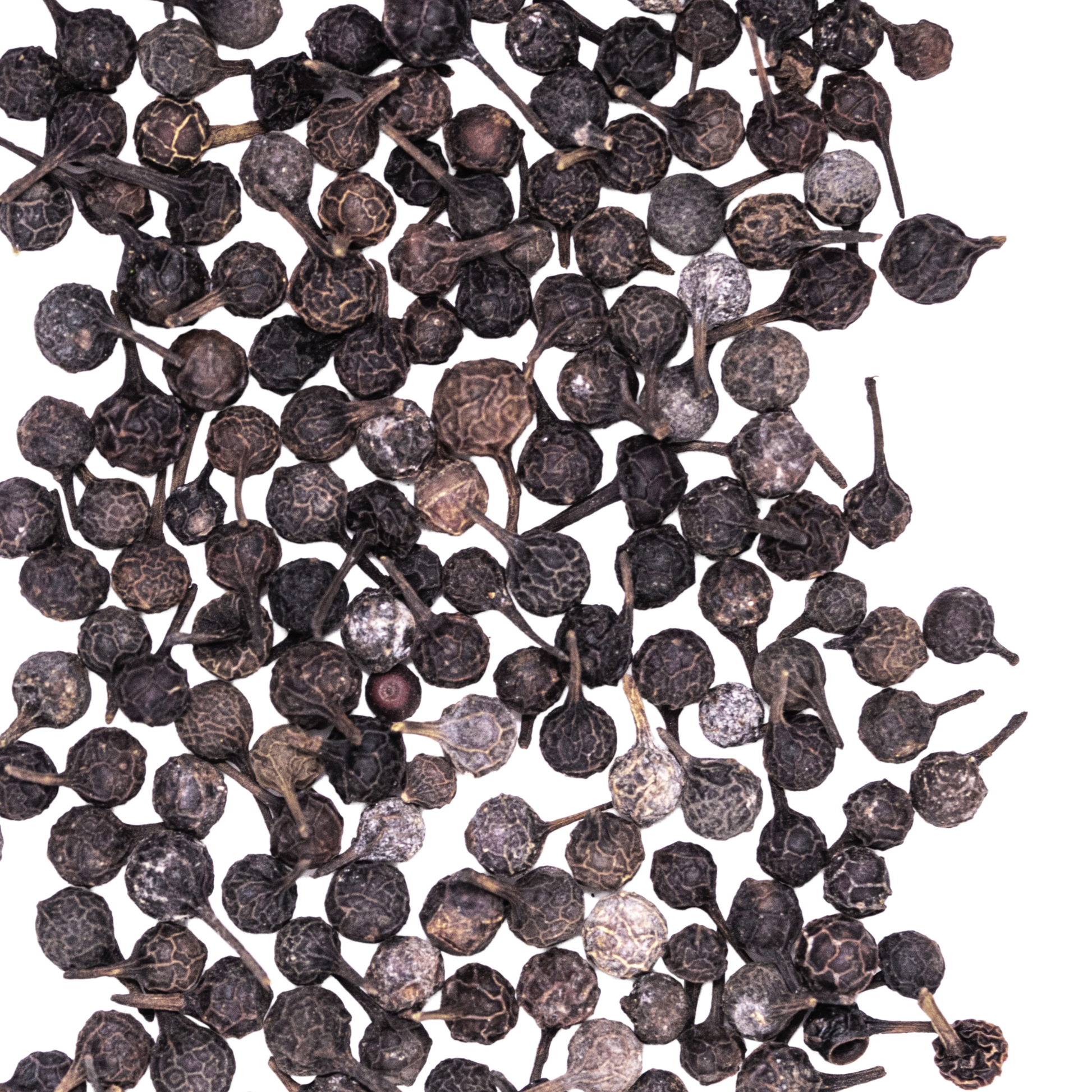 close up cubeb