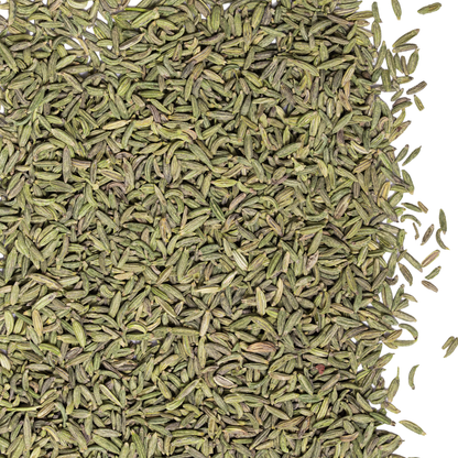 Lucknow Fennel