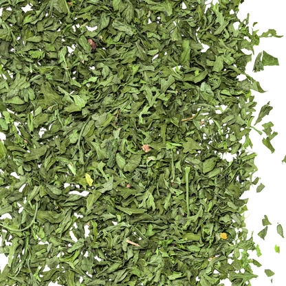close up parsley