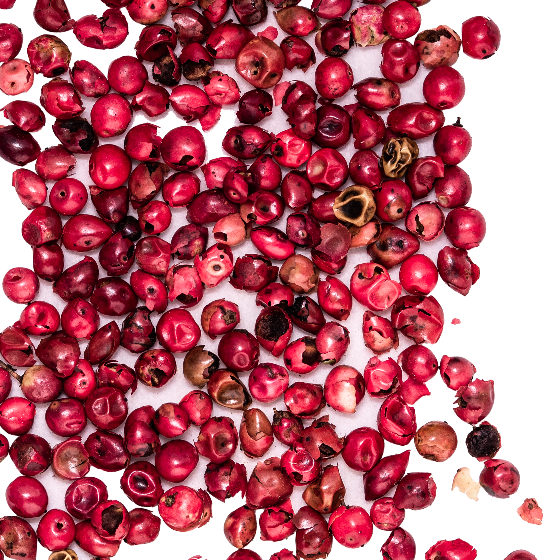 close up pink peppercorn