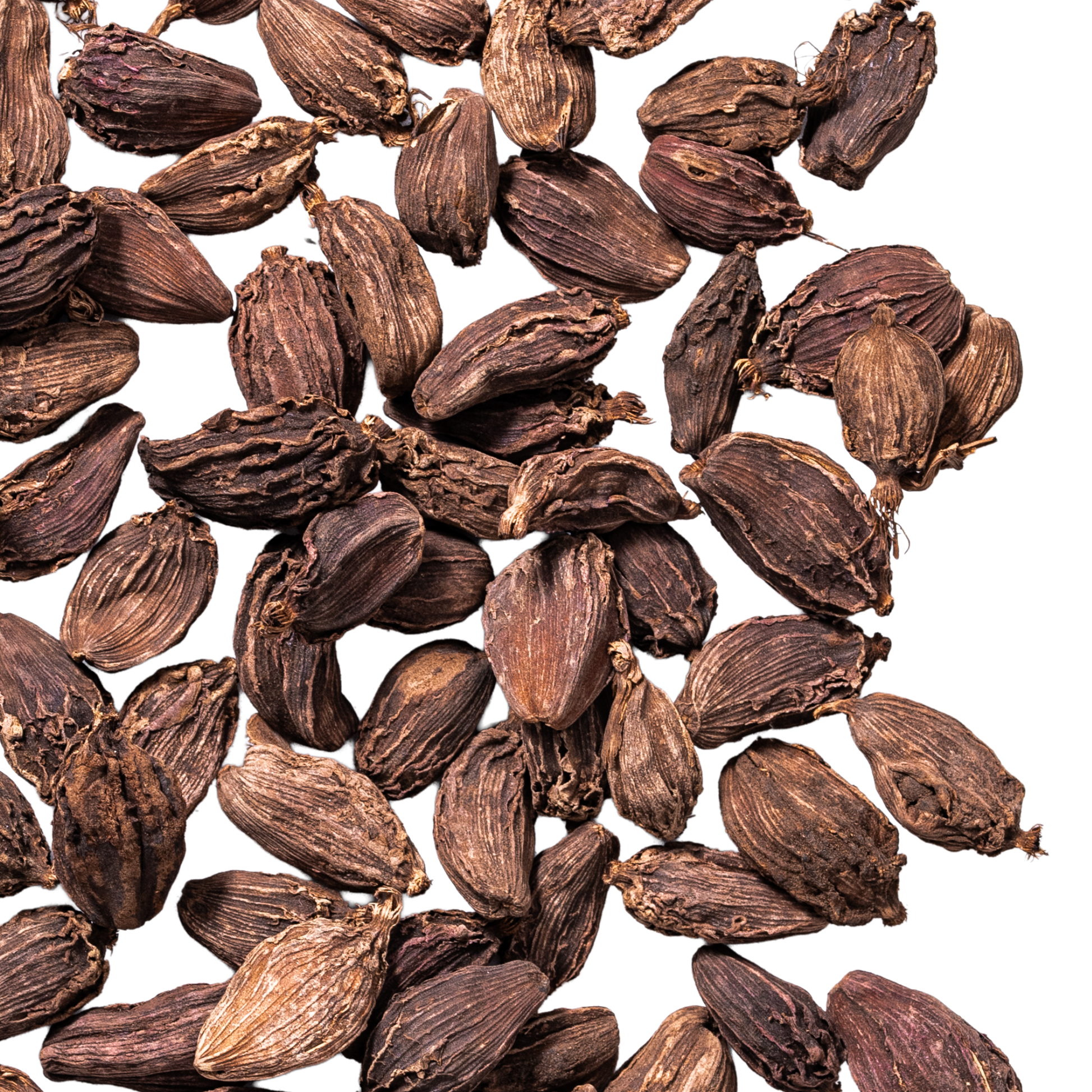 close up red cardamom