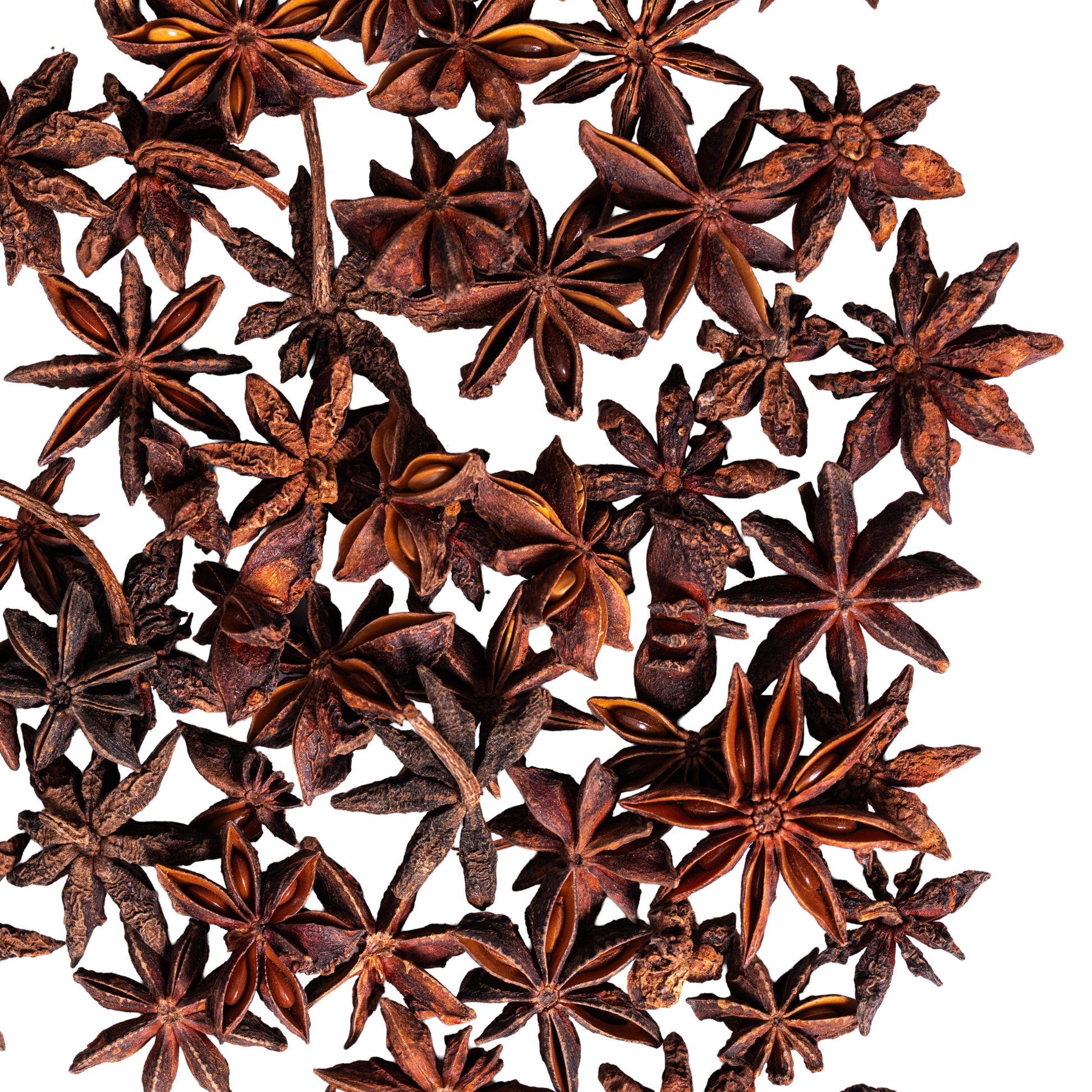 close up star anise