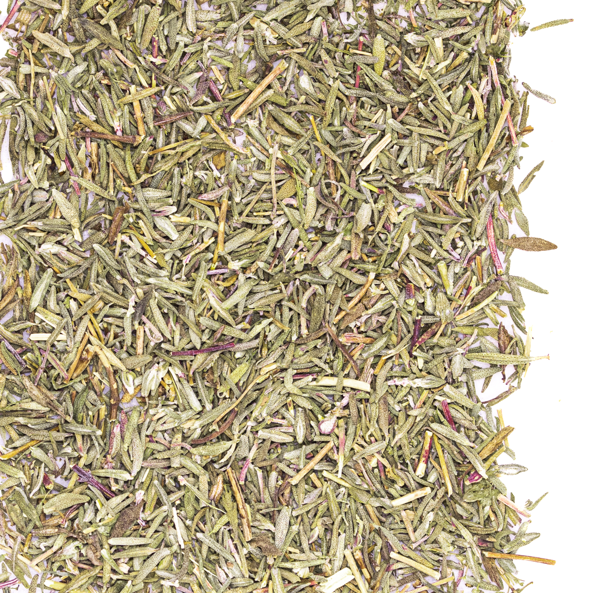 close up thyme