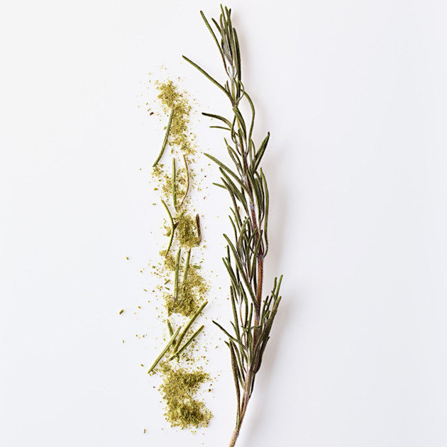 rosemary up close