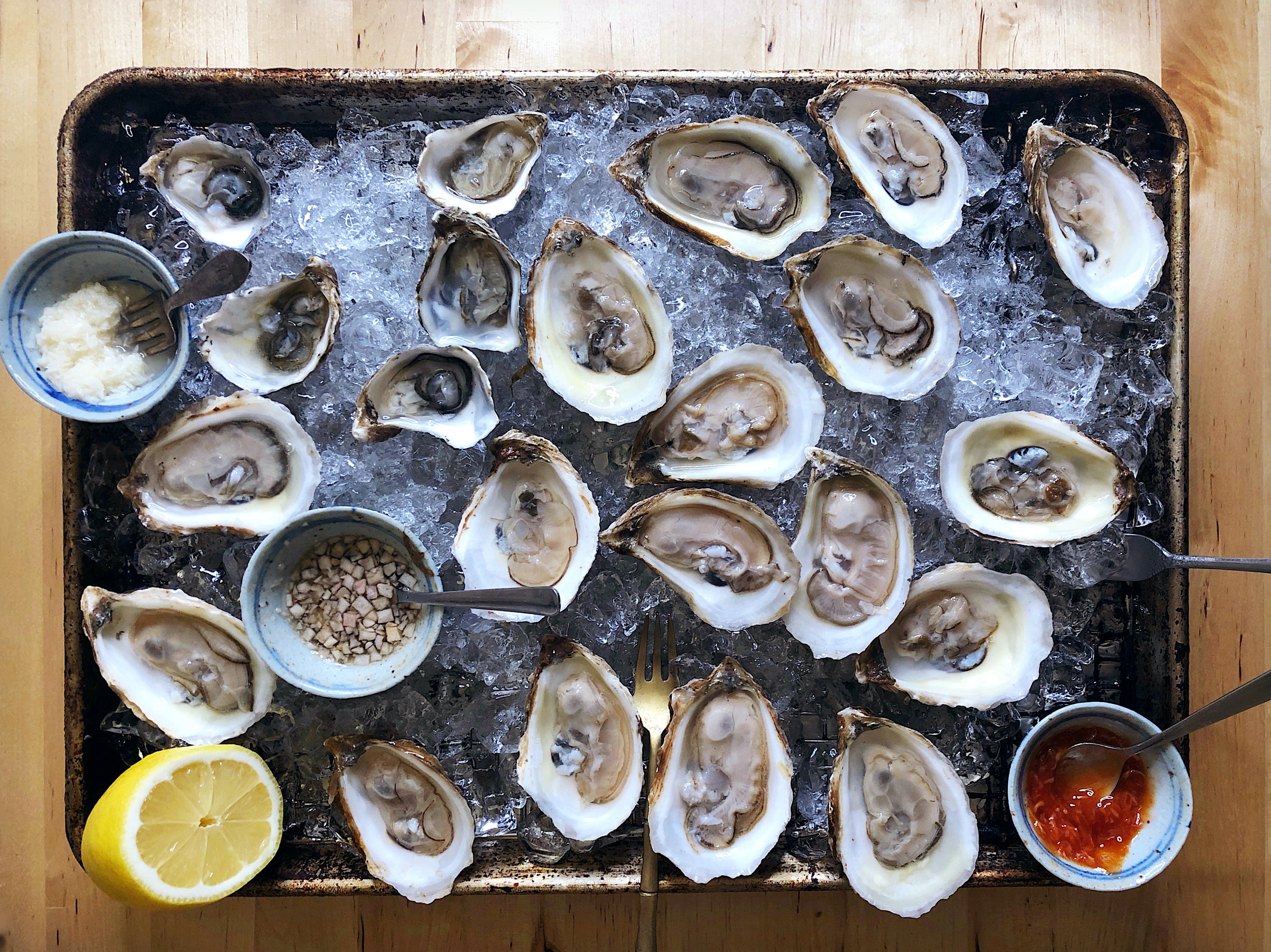 Oysters