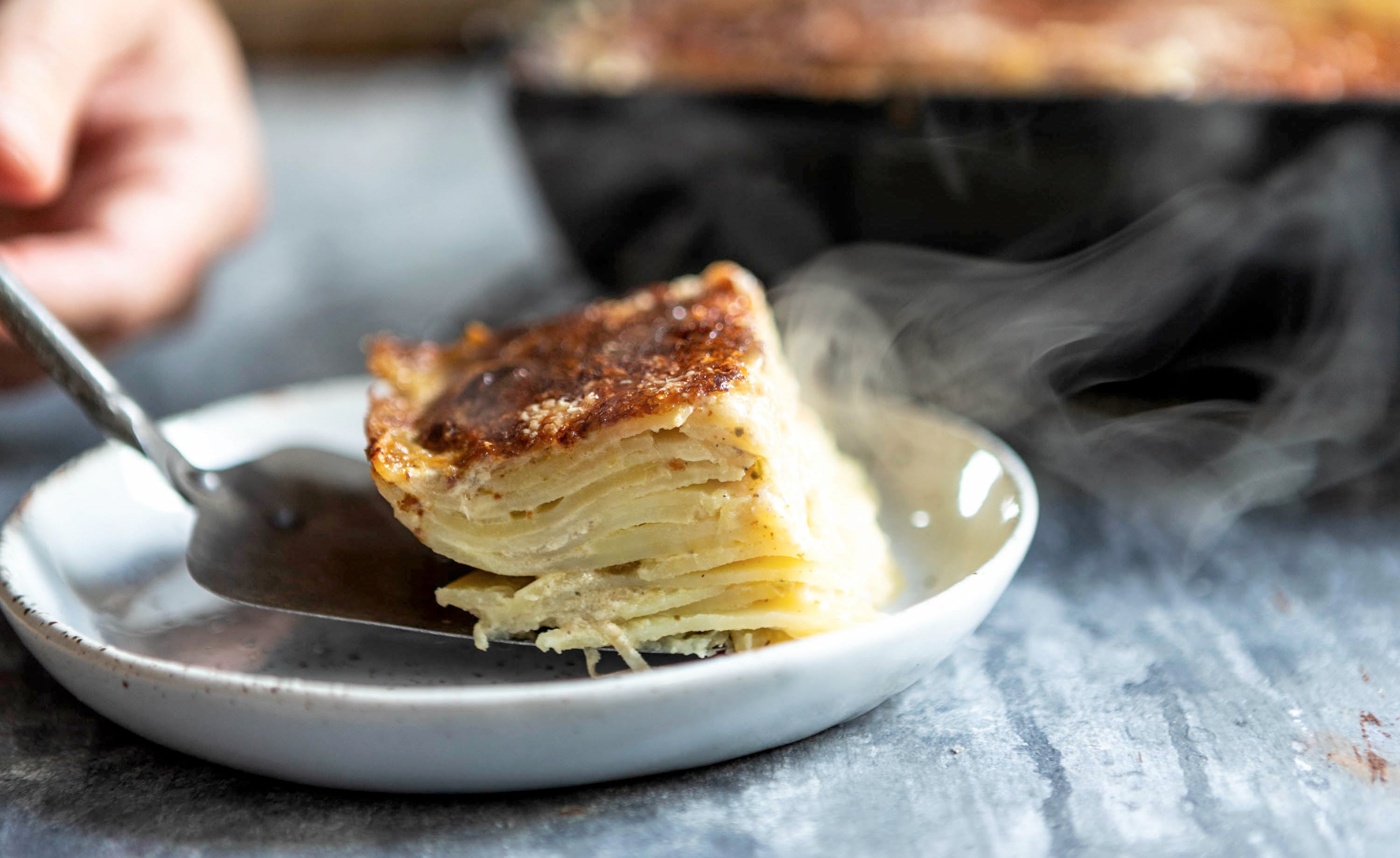 Potato Gratin 