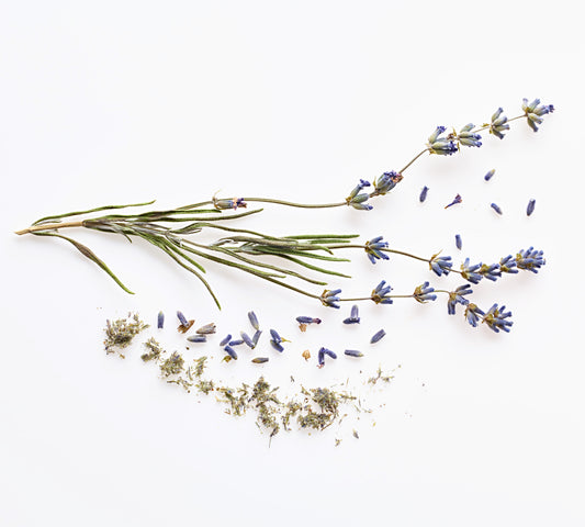 Lavender