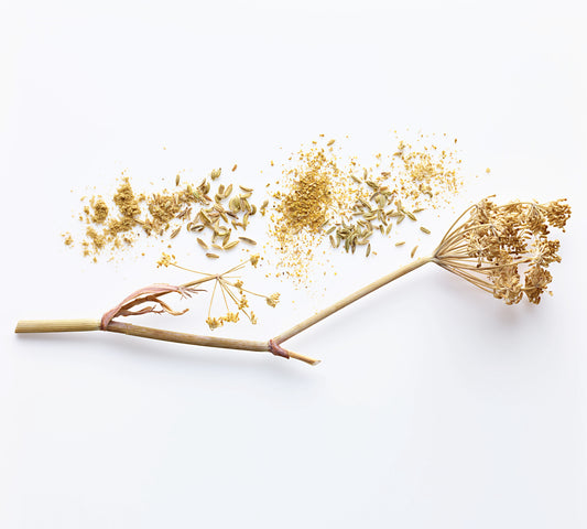 Fennel