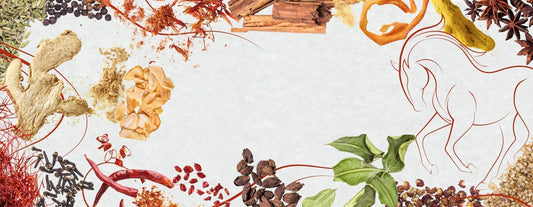 Happy Lunar New Year