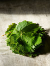 Grape Leaves