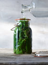 Grape Leaves