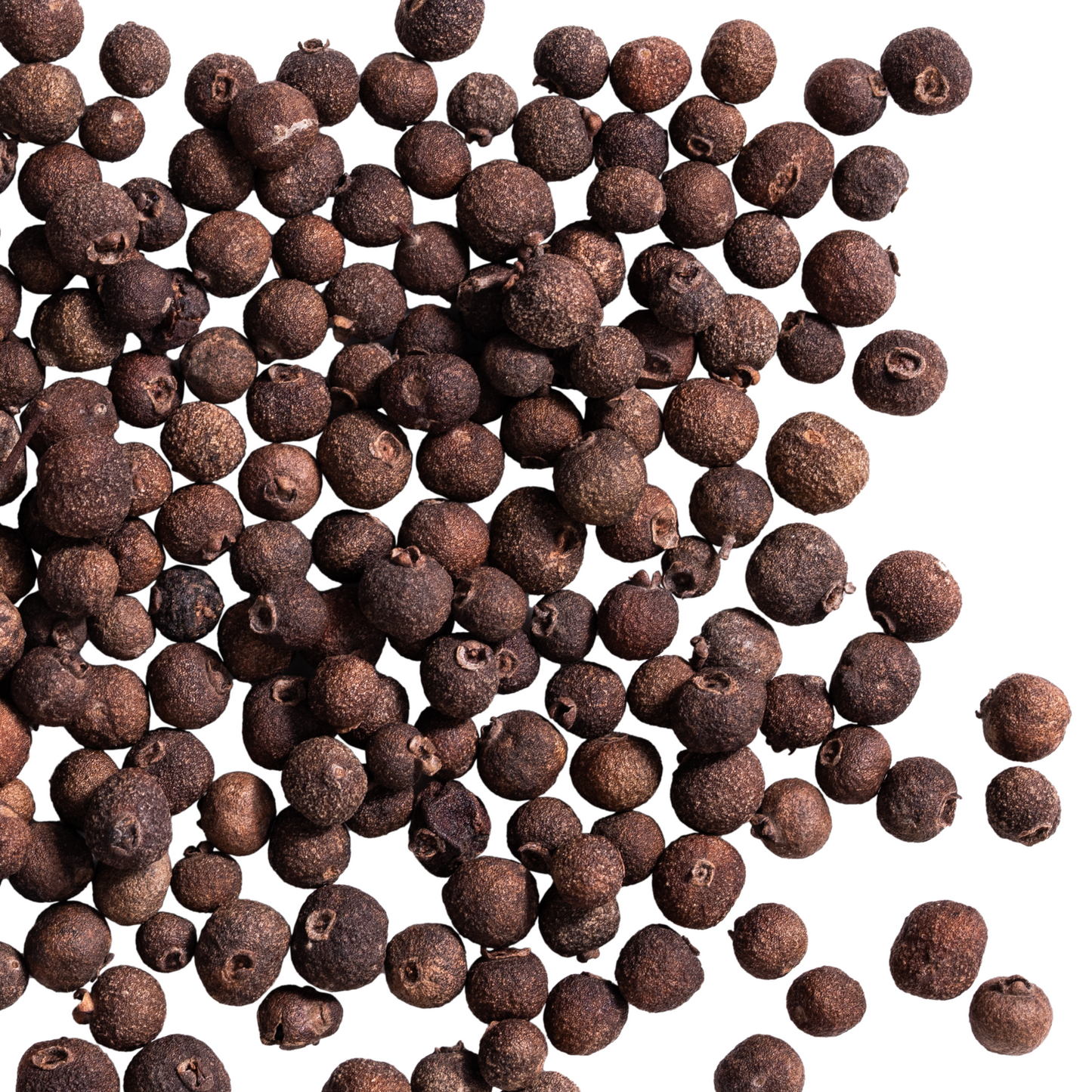 close up allspice
