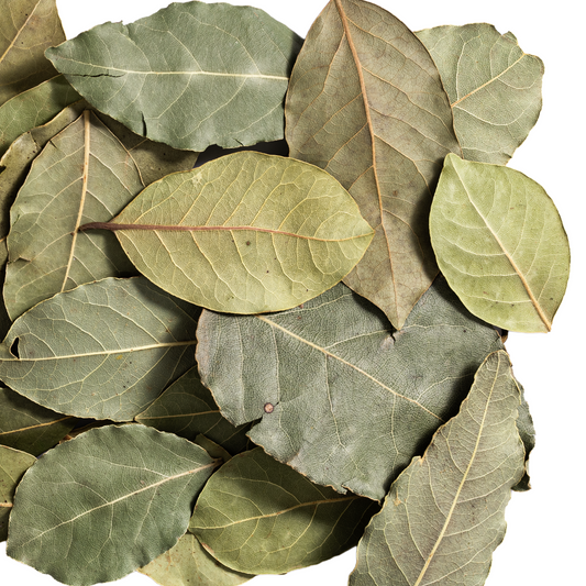 close up bay leaves