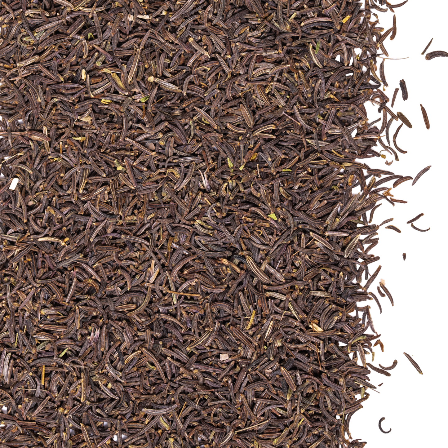 close up black cumin 