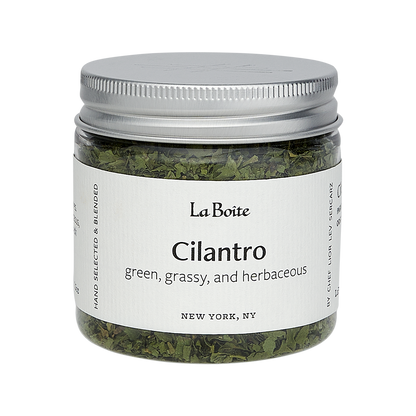 Cilantro