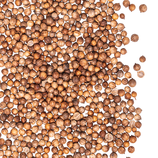 Coriander