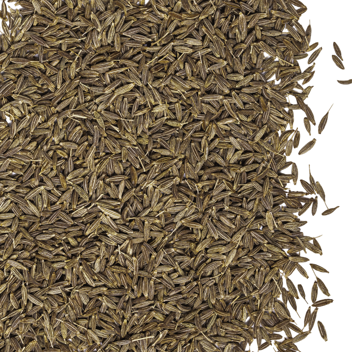 Cumin – La Boîte
