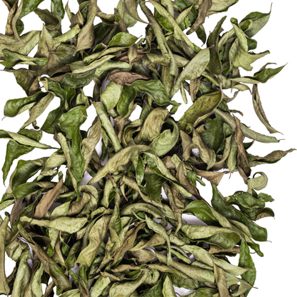 Curry Leaves