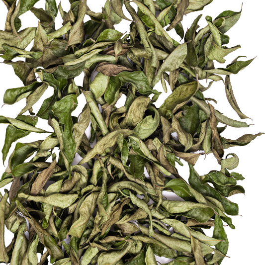 Curry Leaves
