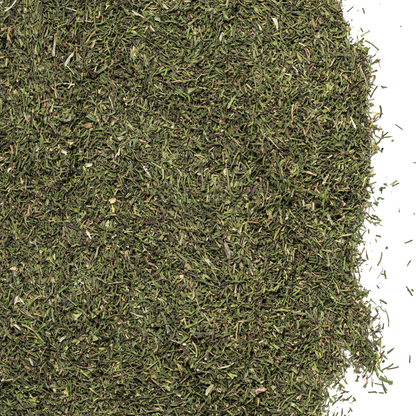 Dill Leaf