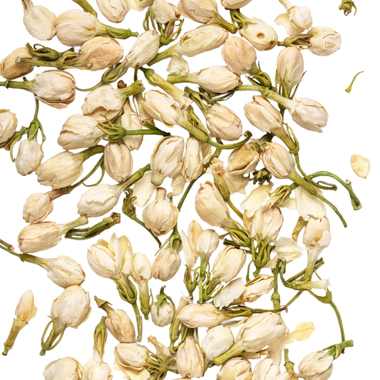 Jasmine Blossom