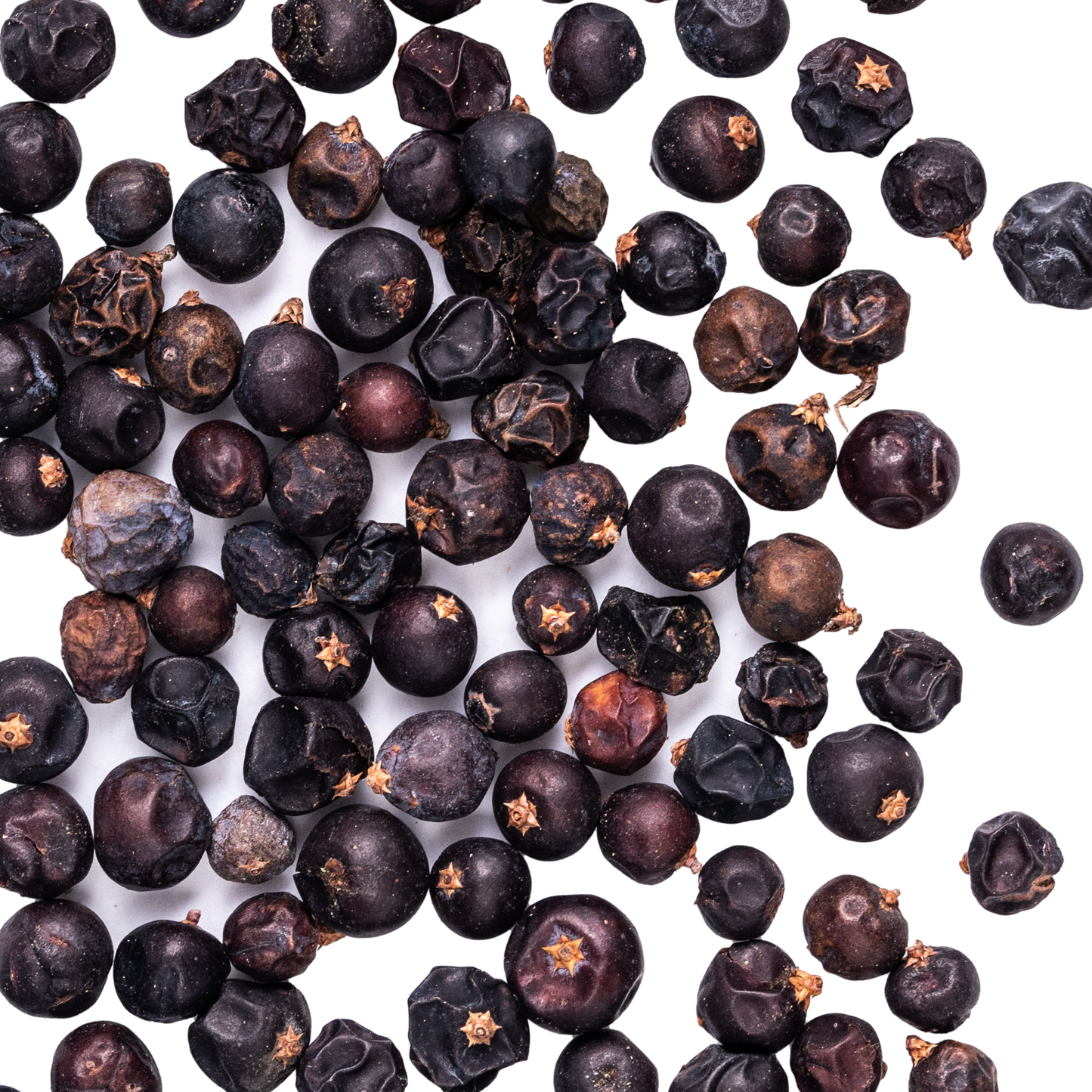 Juniper