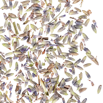 close up lavender