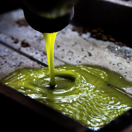 Ptora Midnight Olive Oil