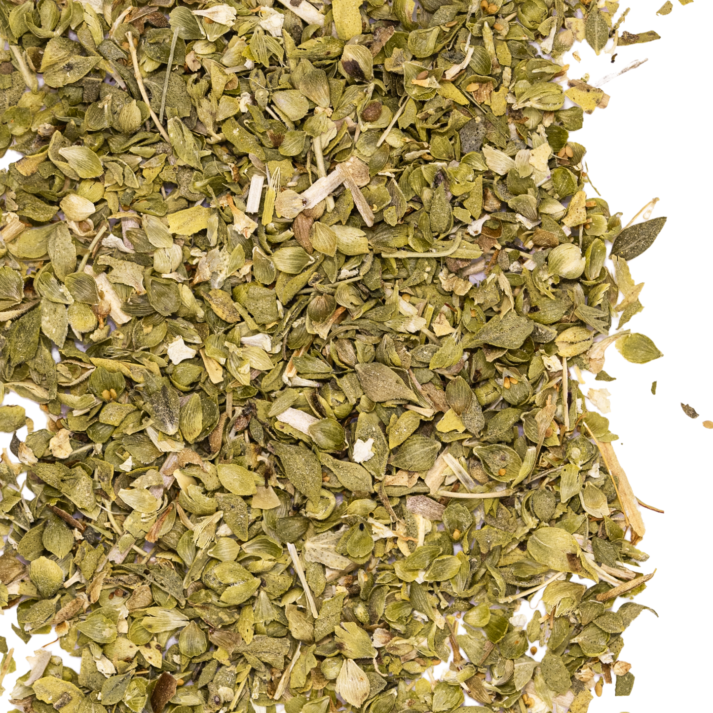 close up oregano