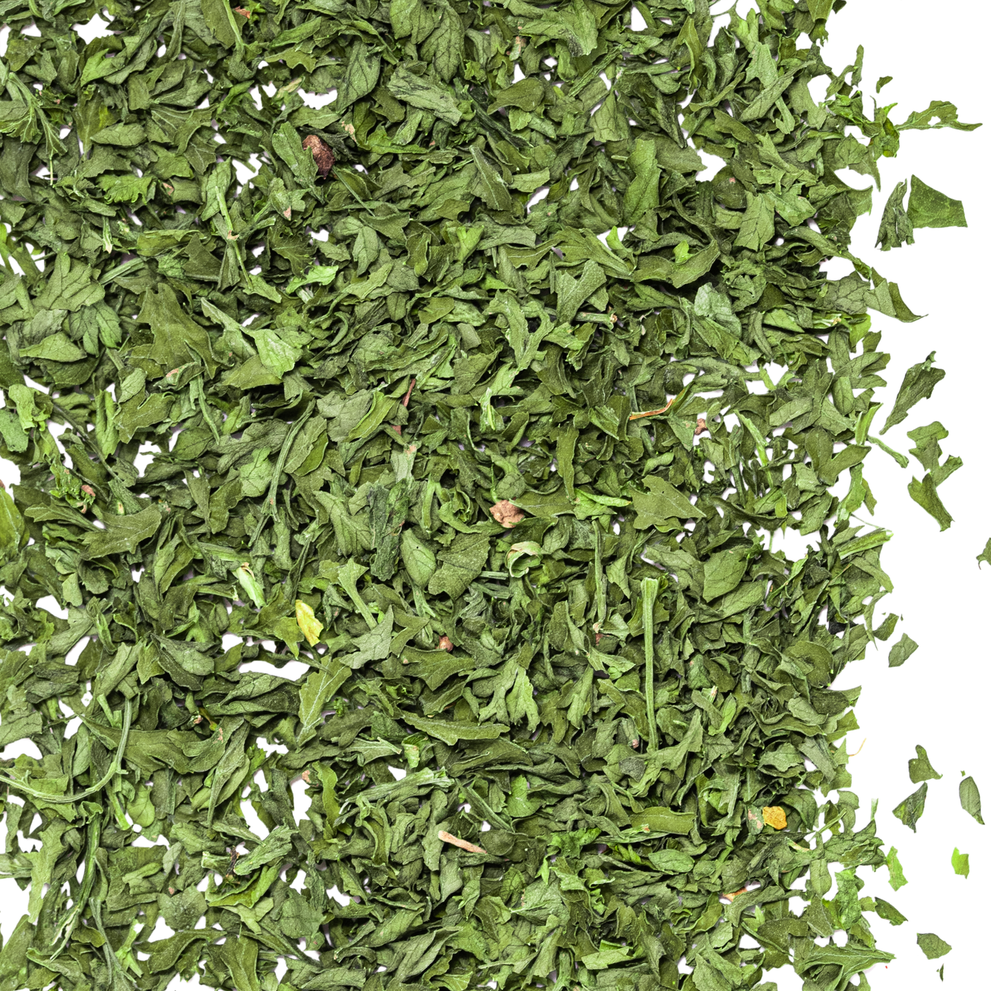close up parsley