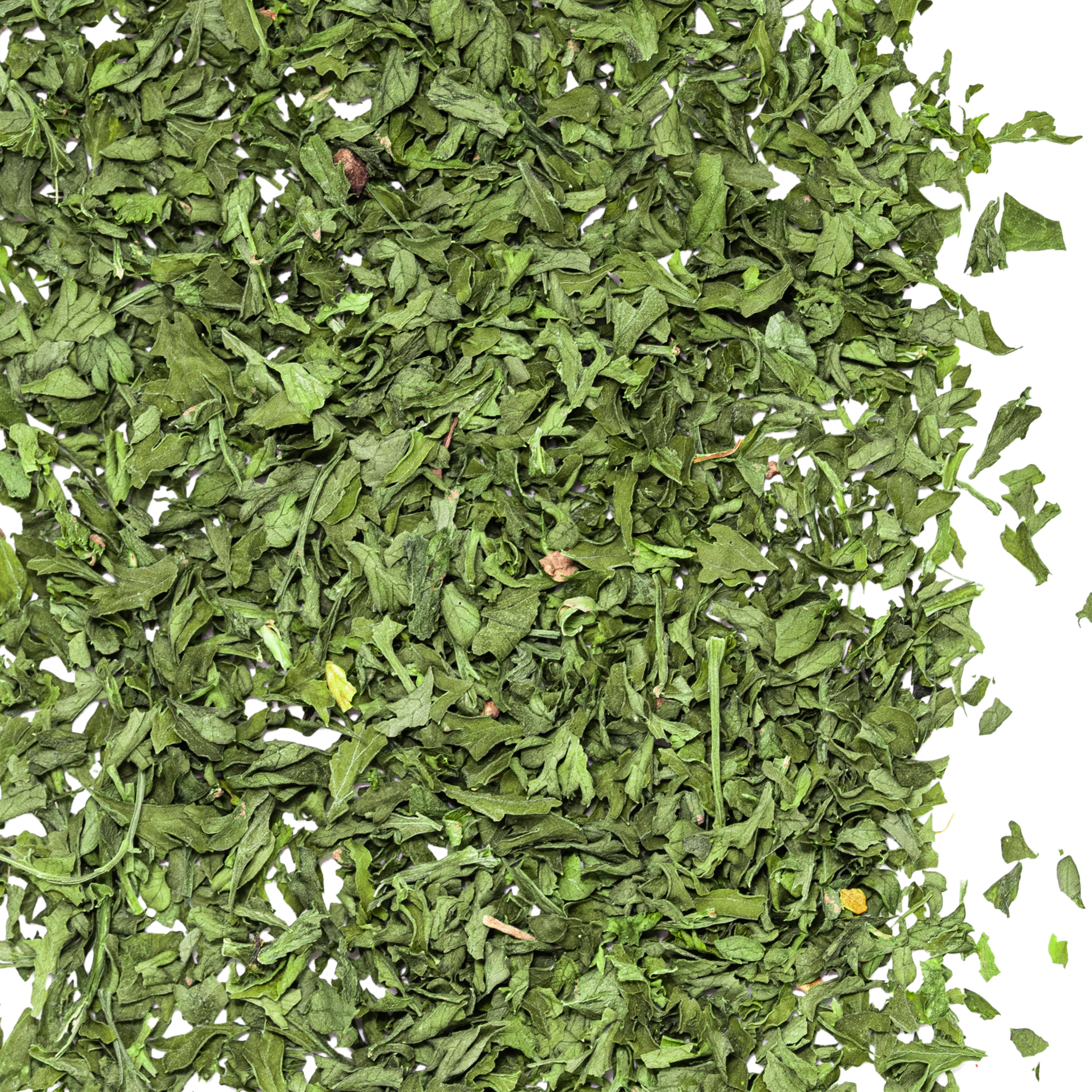 close up parsley