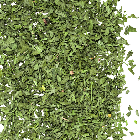 close up parsley