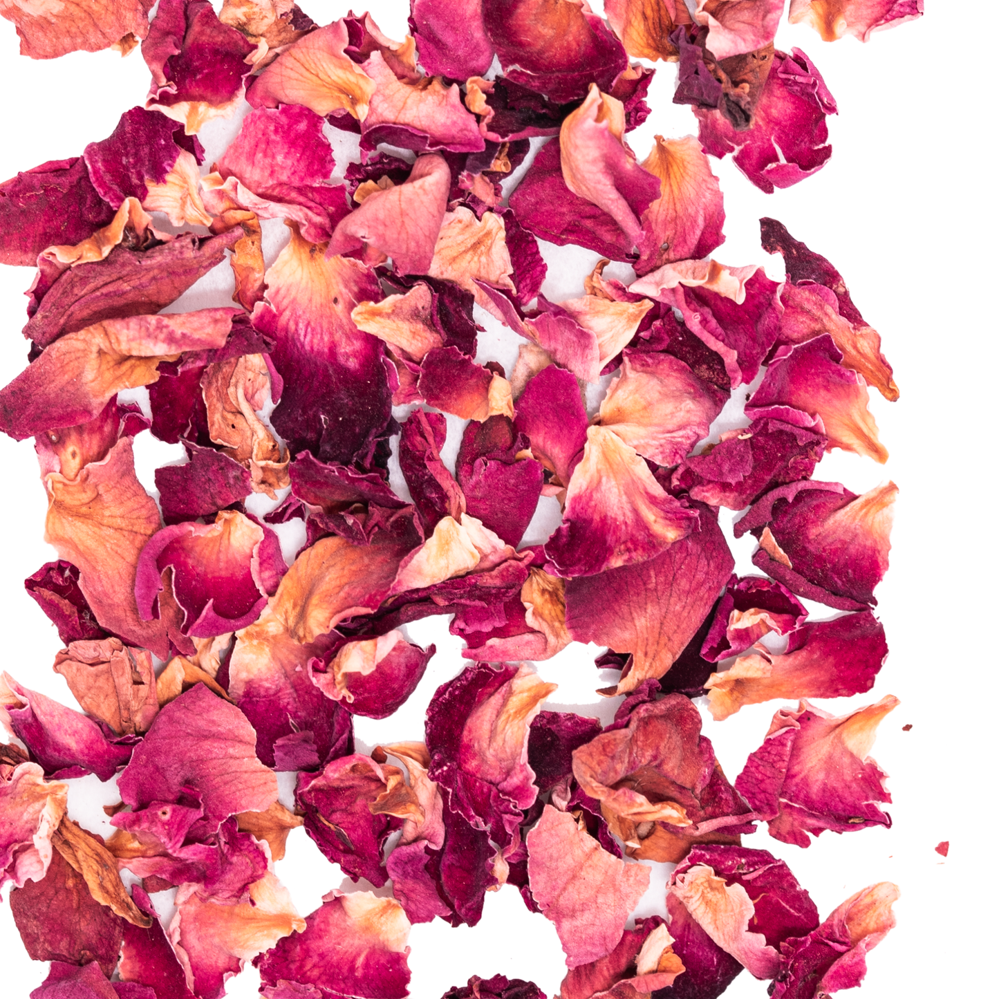 Rose Petals