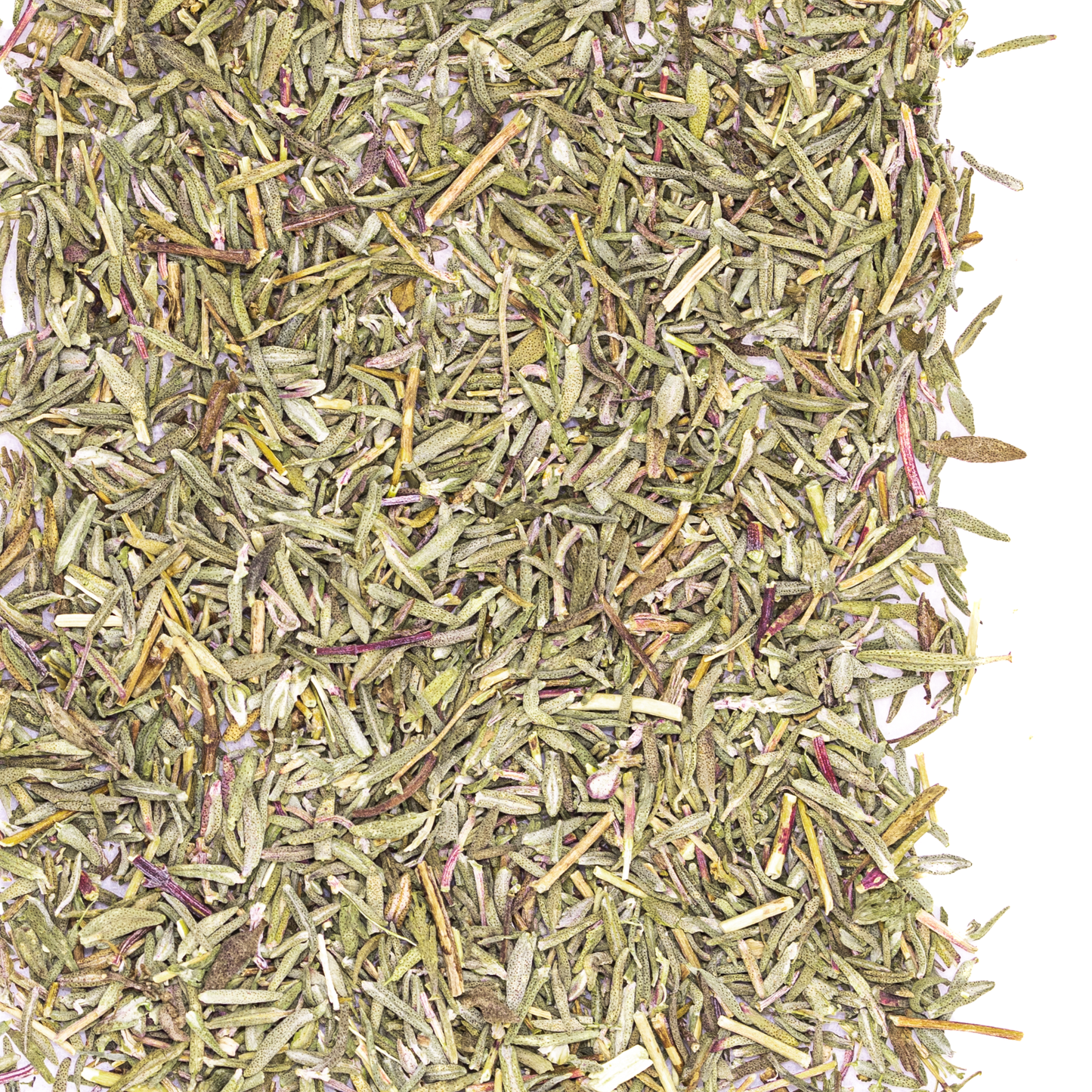 Thyme