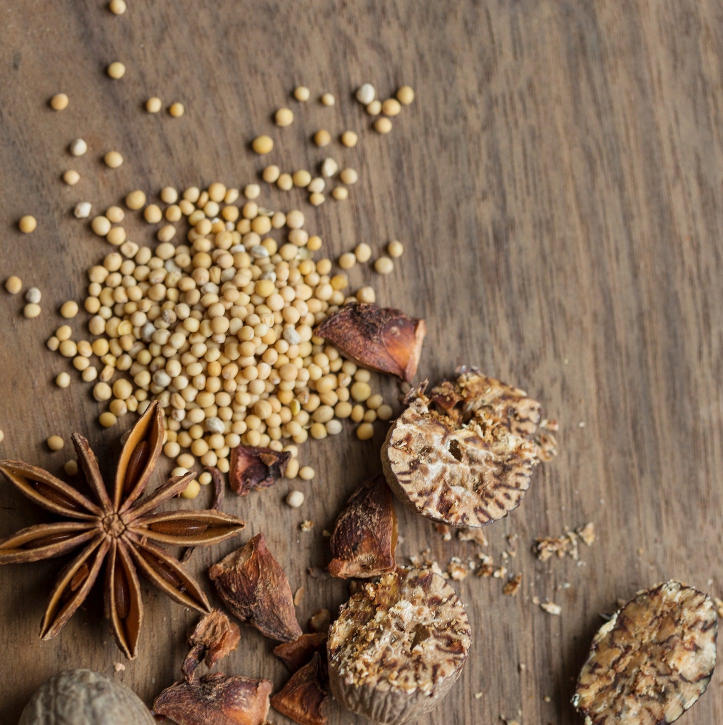 The Spice Companion
