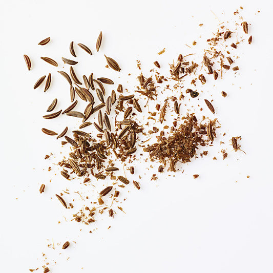caraway seeds up close