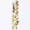 celery seeds up close
