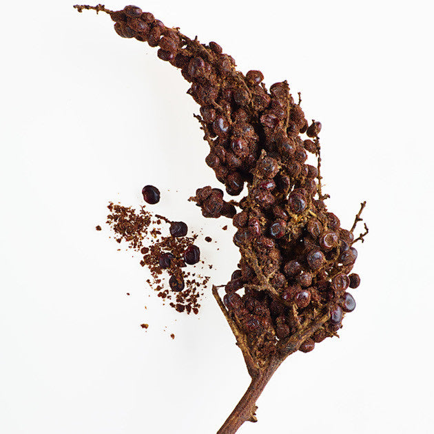 sumac up close