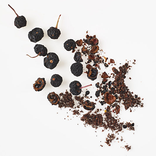 tasmanian pepper up close