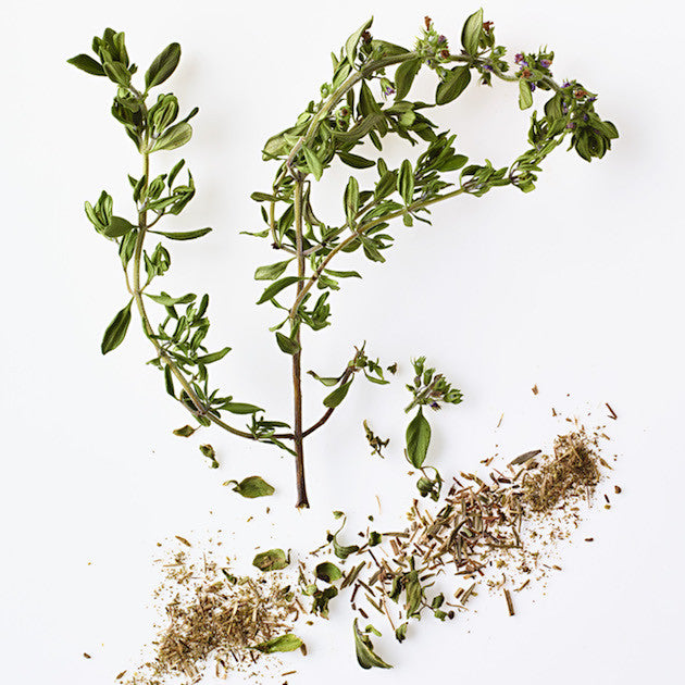 thyme up close