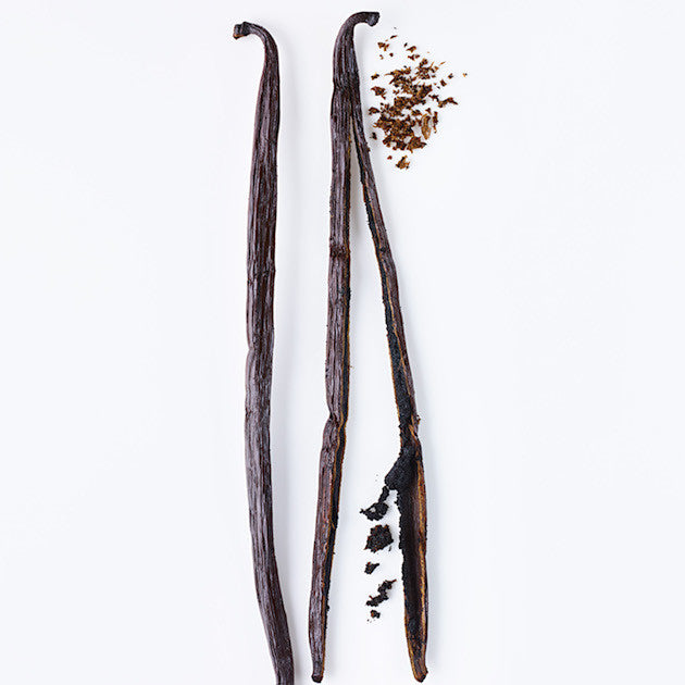 vanilla beans up close